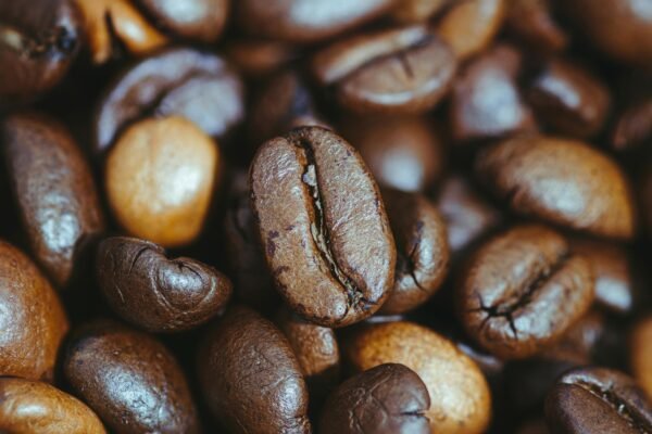 Detailed close-up of roasted coffee beans showcasing rich textures and natural colors.